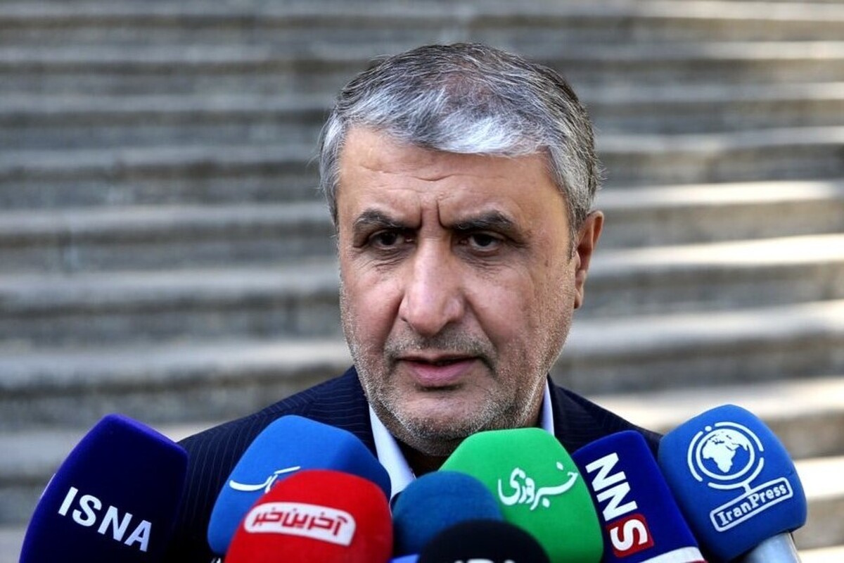 رئیس سازمان انرژی اتمی تاکید کرد که ایران در چارچوب پادمان و ان پی تی فعالیت هسته‌ای دارد.