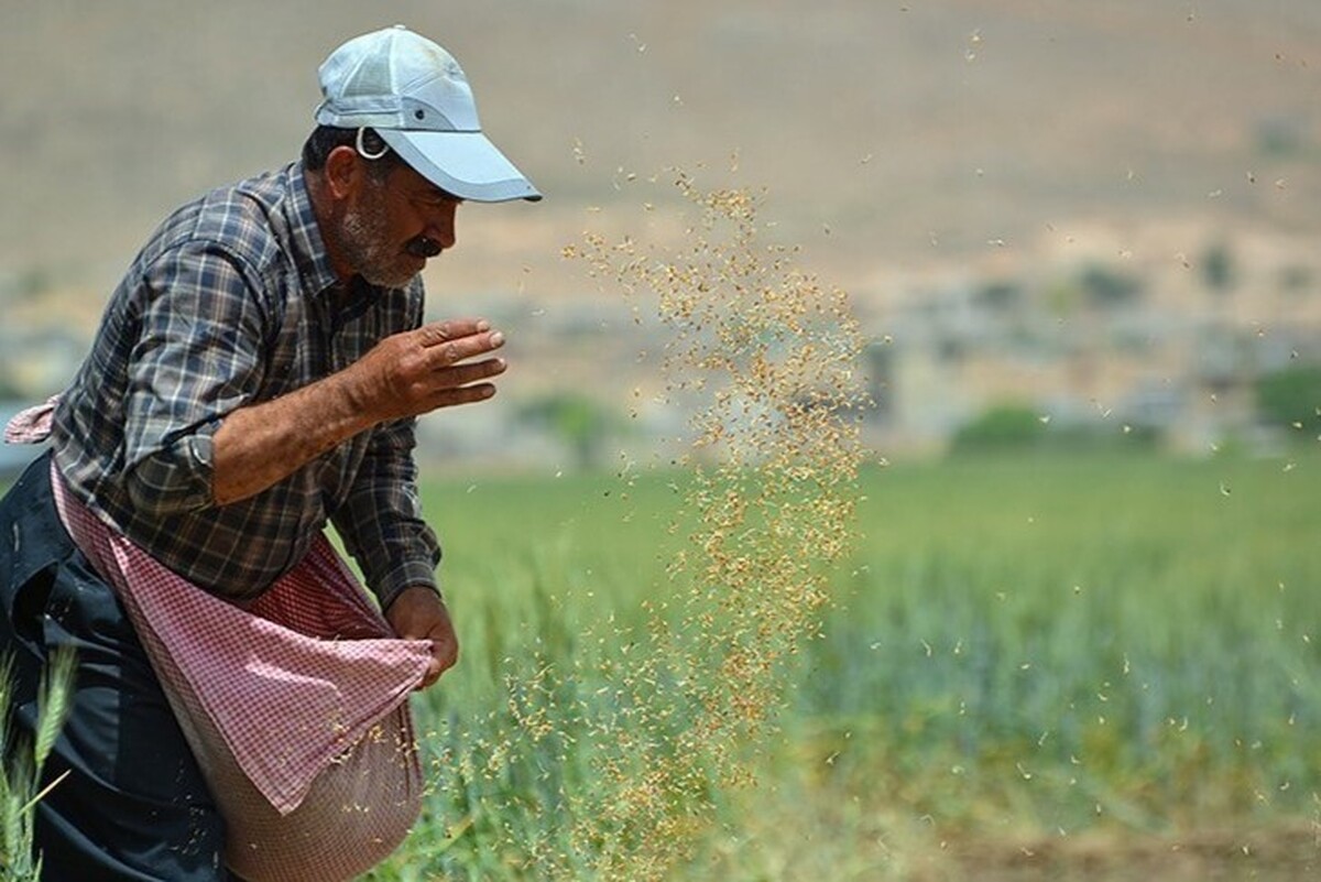 مدیر شعب بانک کشاورزی خراسان رضوی گفت: کشاورزان خسارت‌دیده استان که دارای سررسید تا سقف ۲ میلیارد ریال تا پایان سال ۱۴۰۲ هستند، می‌توانند با مراجعه به یکی از شعب بانک کشاورزی در خراسان رضوی از بخشودگی سود و جرائم استفاده کنند.
