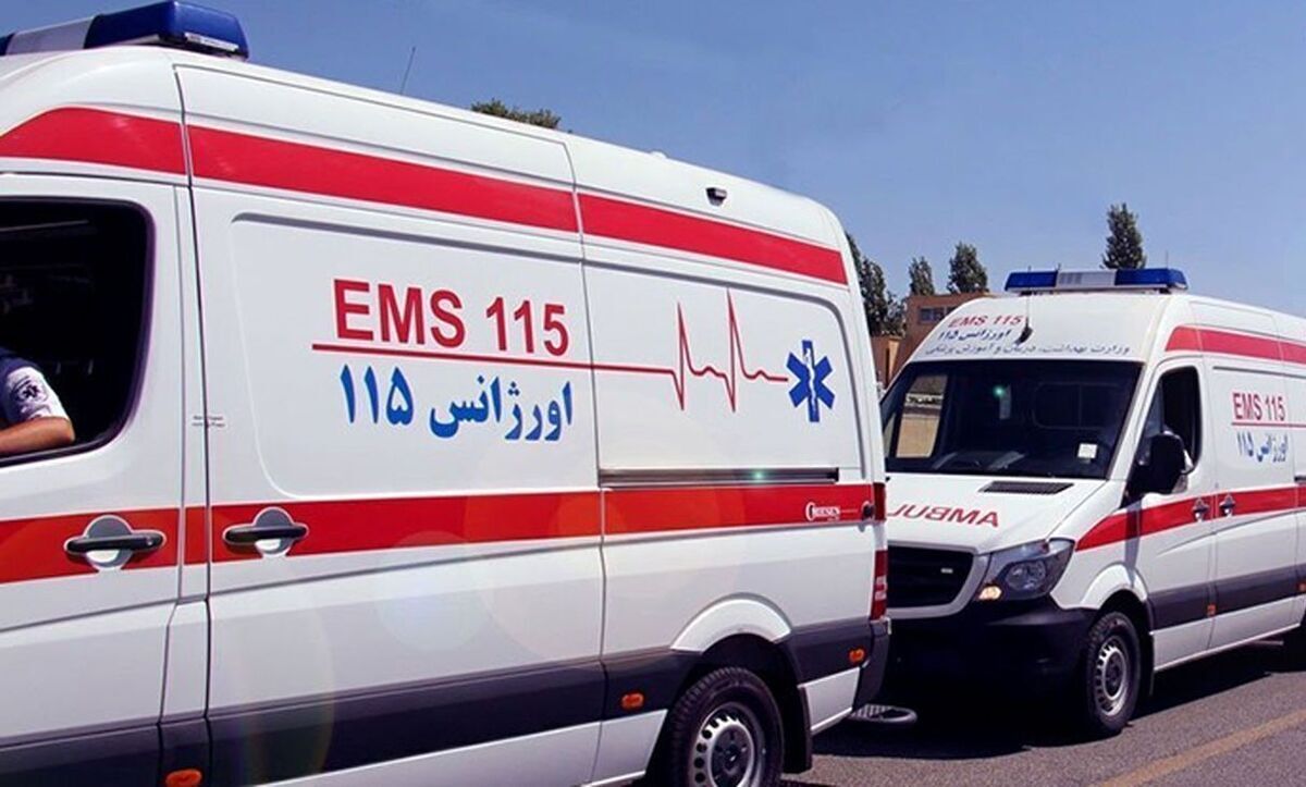 بنابر اعلام مسئول روابط عمومی اورژانس پیش‌بیمارستانی و فوریت‌های پزشکی دانشگاه علوم پزشکی مشهد، از ساعت ۸ صبح شنبه (۲۰ بهمن‌ماه) تا ساعت ۸ امشب، در مجموع بیش از ۸ هزار تماس با اورژانس ۱۱۵ مشهد برقرار شده که منجر به انجام ۲ هزار و ۸۰۰ مأموریت شده است.