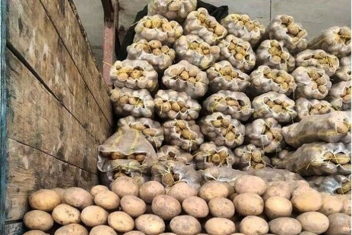 اتحادیه بارفروشان مشهد قیمت انواع میوه و صیفی‌جات در میادین تره‌بار مشهد را اعلام کرد.
