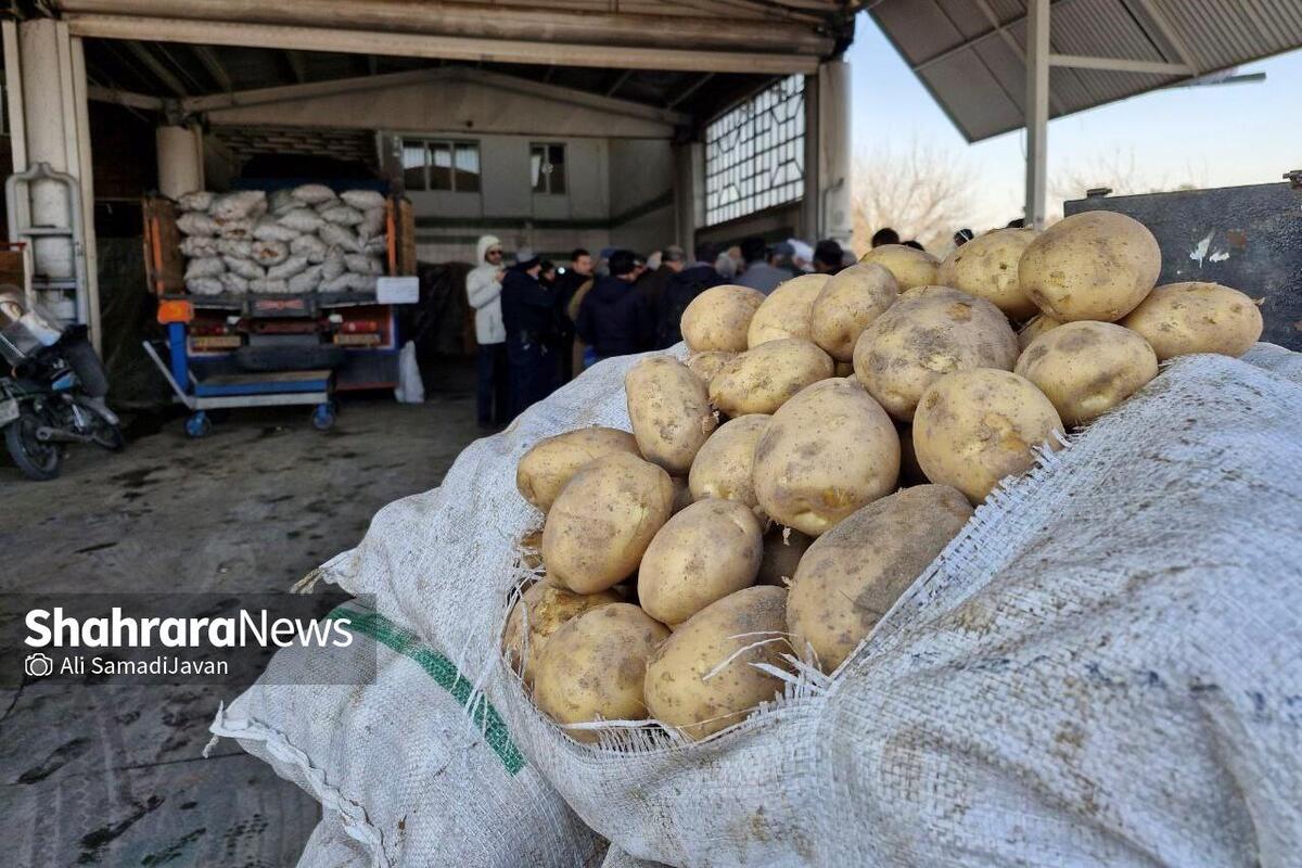 نماینده مردم مشهدوکلات در مجلس شورای اسلامی، در بازدیدی سرزده از میدان‌بار مرکزی سپاد، از نزدیک در جریان آخرین وضعیت محصول سیب‌زمینی، قیمت و توزیع آن قرار گرفت.