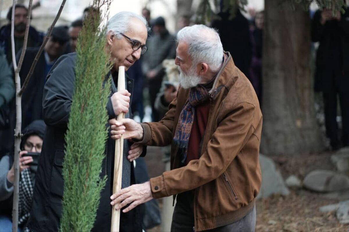 «درخت زرین» به‌عنوان بخش اصلی هفدهمین جشنواره هنر‌های تجسمی فجر با ادای احترام به درخت سرو چهارهزارساله ابرکوه آغازبه‌کار کرد.