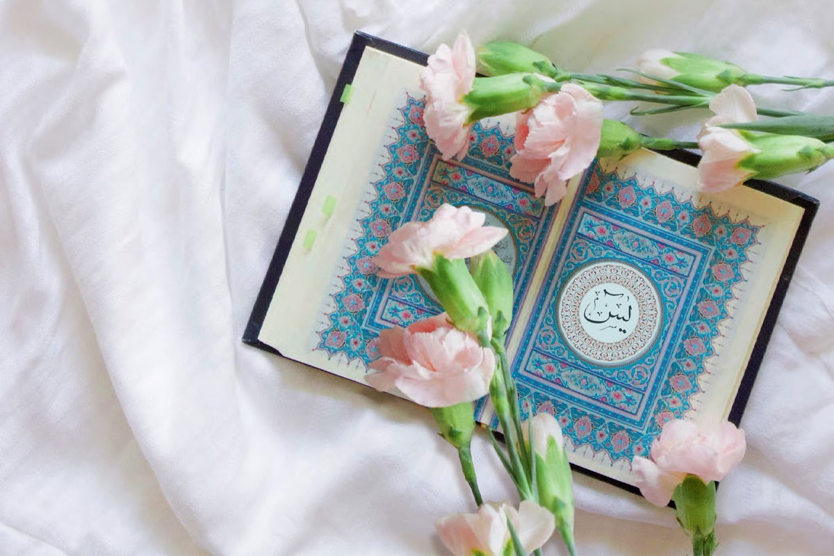 در این مطلب به بررسی آثار و برکات اعجاب‌انگیز سوره مبارکه یاسین پرداختیم.