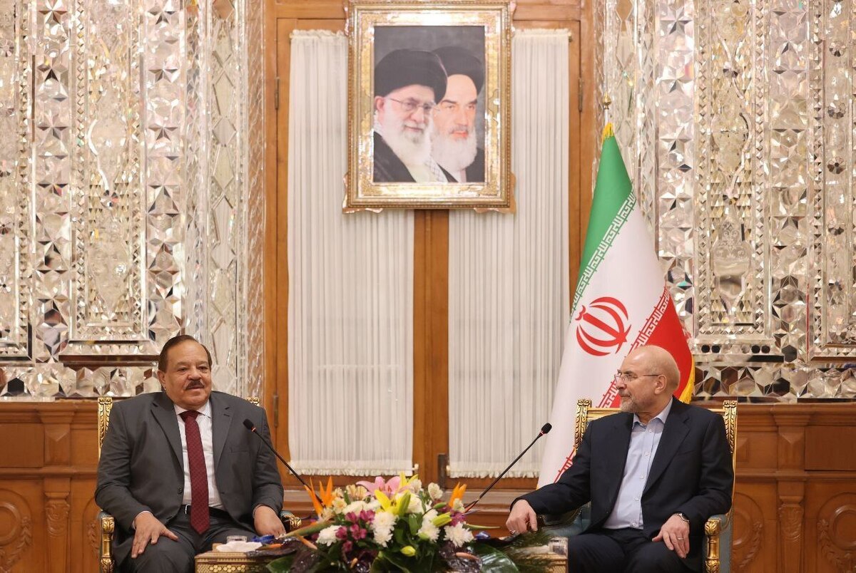 وزیر خارجه سودان با رئیس مجلس شورای اسلامی دیدار و گفت‌وگو کرد.