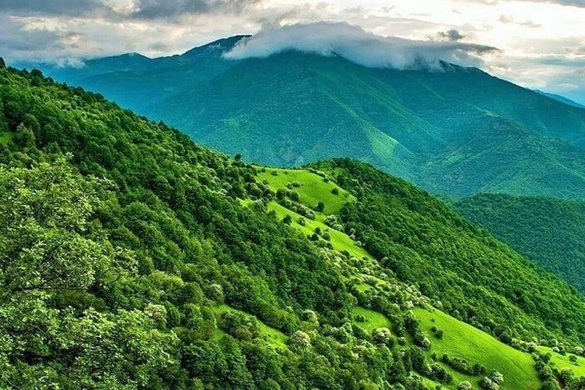 ویدئویی از جنگلِ رویاییِ ارسباران در جادهی قلعه دره سی ، کلیبر در اذربایجان شرقیِ را مشاهده می‌کنید.