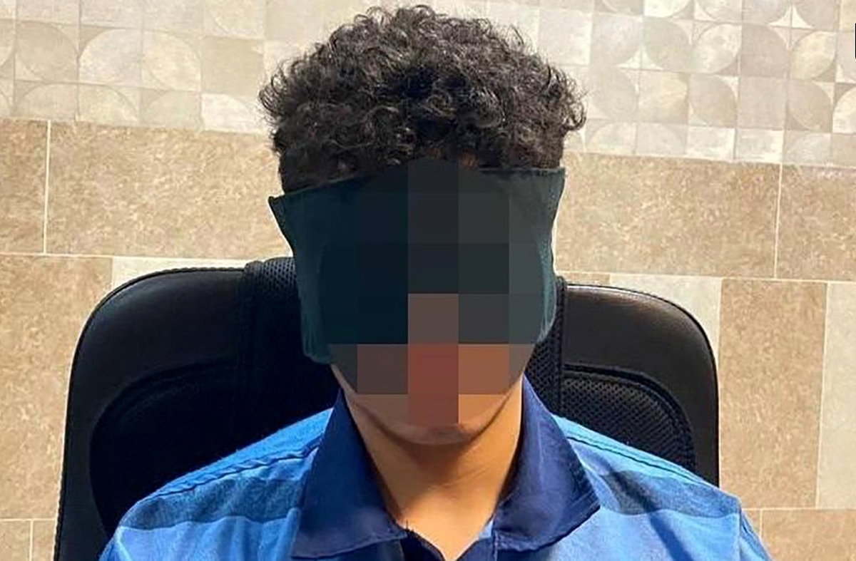 در گفت‌وگوی تلفنی وزیر علوم و سردار محمدیان مطرح شد که برخلاف شایعات فضای مجازی، قاتلان امیرمحمد خالقی از اتباع خارجی نبودند. همچنین روند اقدامات پیشگیرانه پلیس از قبیل نصب کیوسک‌های انتظامی و دوربین در معابر پرخطر اطراف دانشگاه‌ها بررسی شد.