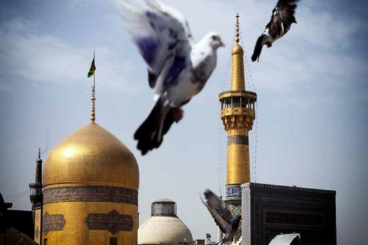 به همت آستان قدس رضوی به تعداد ساکنان روستای مالکیه سفلی توسط اداره نذورات حرم نبات و نمک تبرک اهدا می‌شود همچنین مؤسسه به‌نشر نیز کتابخانه‌ای برای کودکان و خانواده‌ها احداث و تجهیز می‌کند.