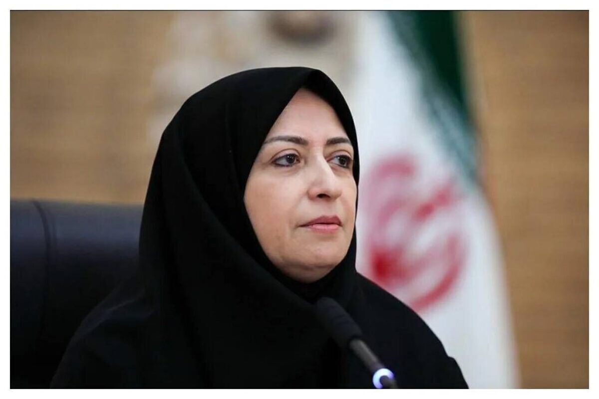 معاون رییس جمهوری و رییس سازمان حفاظت محیط زیست گفت: هنرمندان به عنوان گروه‌های مرجع می‌توانند همزمان دغدغه عموم مردم و توجه حاکمیت را به مسایل و بحران‌های محیط زیست افزایش دهند.