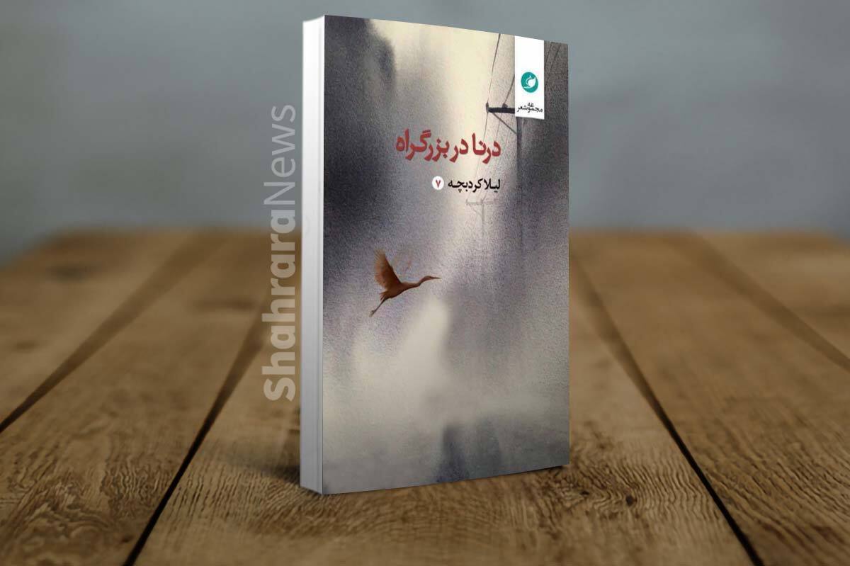 شاعر کتاب «درنا در بزرگراه» می‌گوید: این کتاب حاصل تجربیات عاطفی عمیقی بوده که معتقدم در بهترین شکل اجرایی که از عهده من برمی‌آمده، اجرا شده‌ است.
