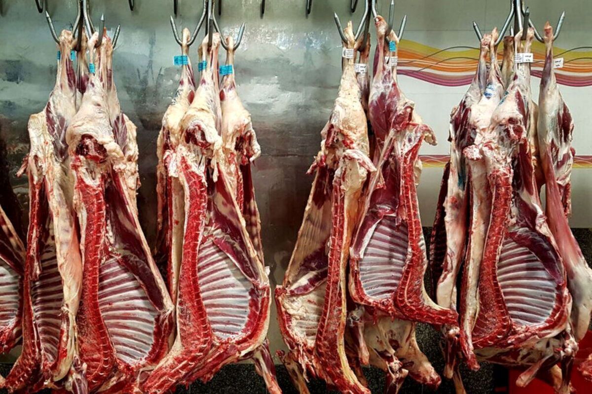 قیمت هر کیلو دنده آبگوشتی گوسفندی امروز در مشهد به کیلویی ۴۴۷ هزار تومان رسید.