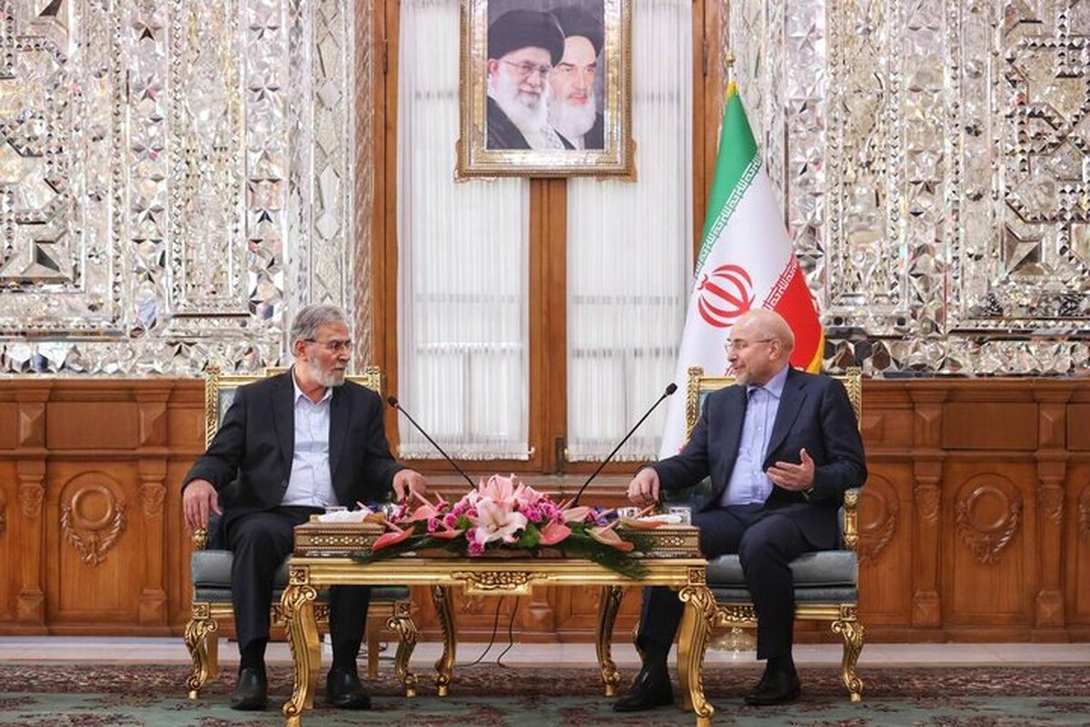 رئیس مجلس شورای اسلامی گفت: وحدت میان گروه‌های فلسطینی از جمله جهاد اسلامی و حماس در پیروزی جبهه مقاومت بسیار مؤثر است.