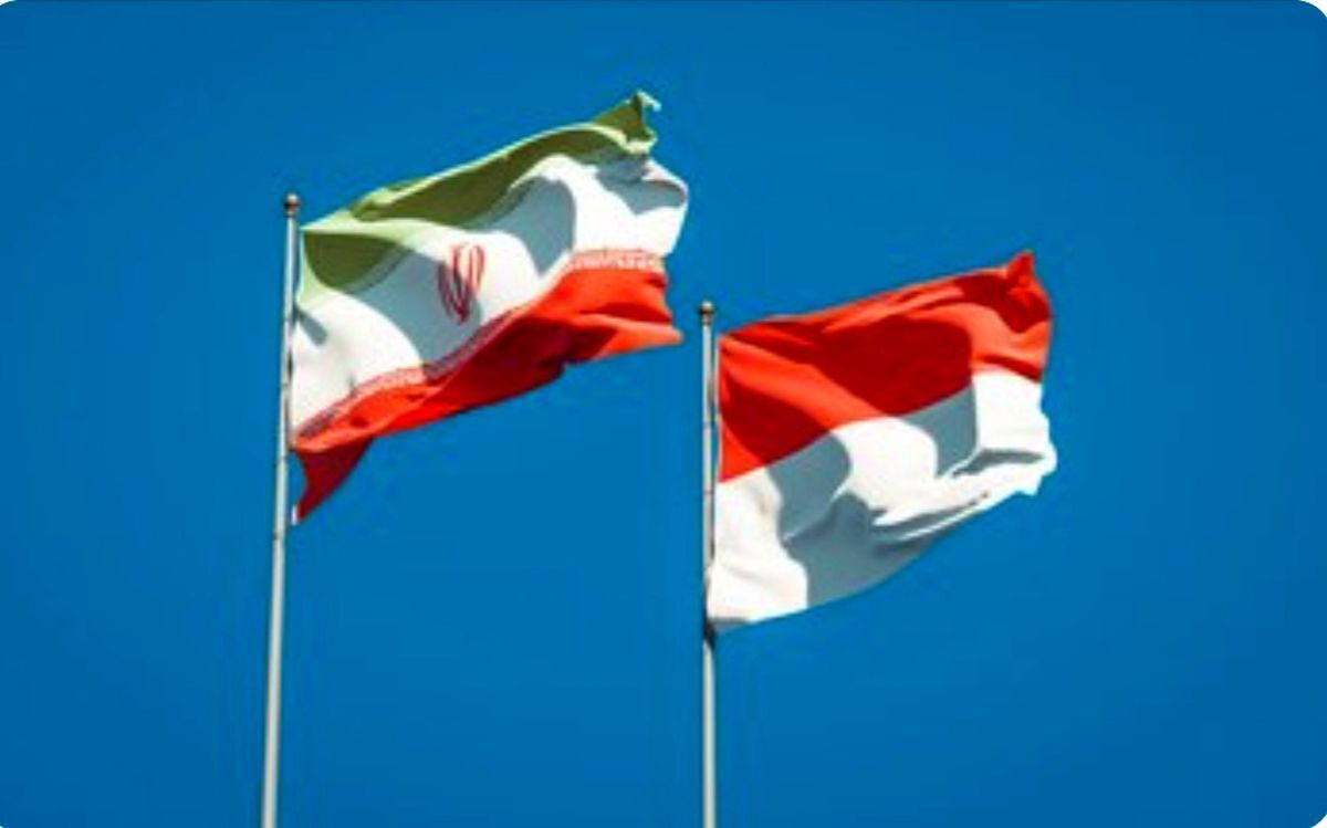وزیر خارجه اندونزی در دیدار وزیر خارجه ایران، با تاکید بر اهمیت روابط کشورش با تهران، آمادگی اندونزی برای گسترش مناسبات در همه حوزه‌های مورد علاقه طرفین را خاطرنشان کرد.