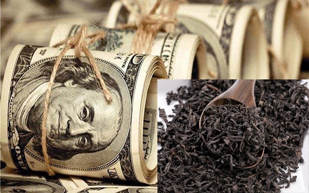 رئیس‌کل دادگستری استان تهران از صدور حکم نهایی دادگاه برای ۴۴ نفر از متهمان این پرونده خبر داد و گفت: این احکام در مرحله انشا قرار دارد و نهایت تا آخر هفته جاری یا اوایل هفته آینده اعلام خواهد شد.