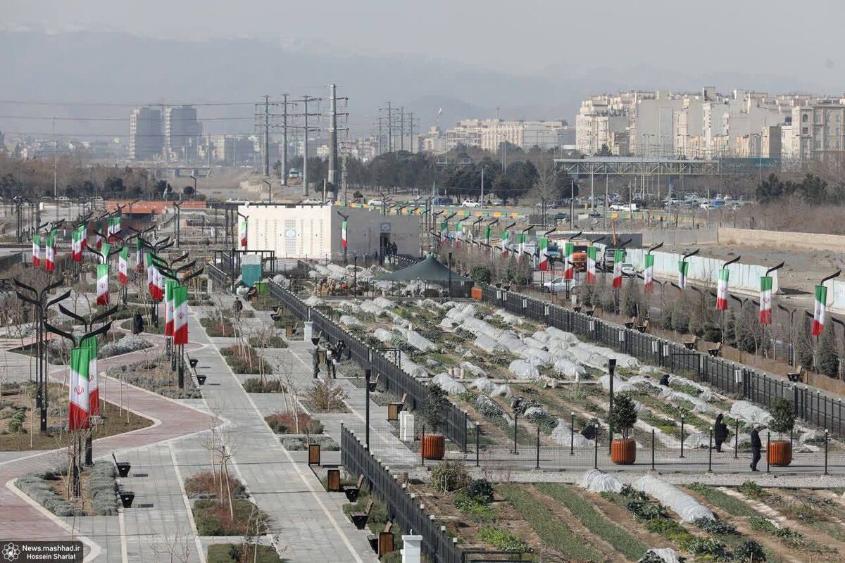 نخستین باشگاه کشاورزی شهری در ایران چهارساله شد و به‌مناسبت چهارمین سال فعالیت خود، فراخوان عضویت یک‌ساله خود را اعلام کرد.