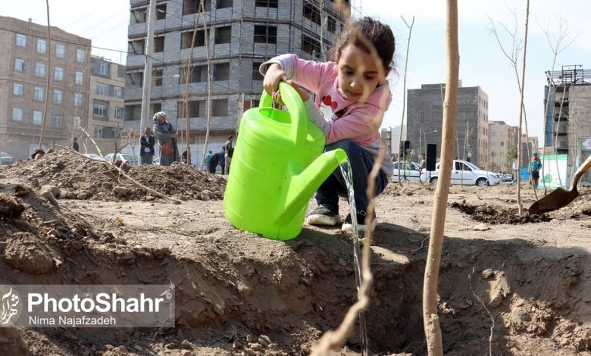 معاون فنی اداره کل منابع طبیعی و آبخیزداری خراسان رضوی گفت:سال گذشته تعداد ۶۰۵ پویش مردمی برای کاشت درخت در استان برگزار شده است.