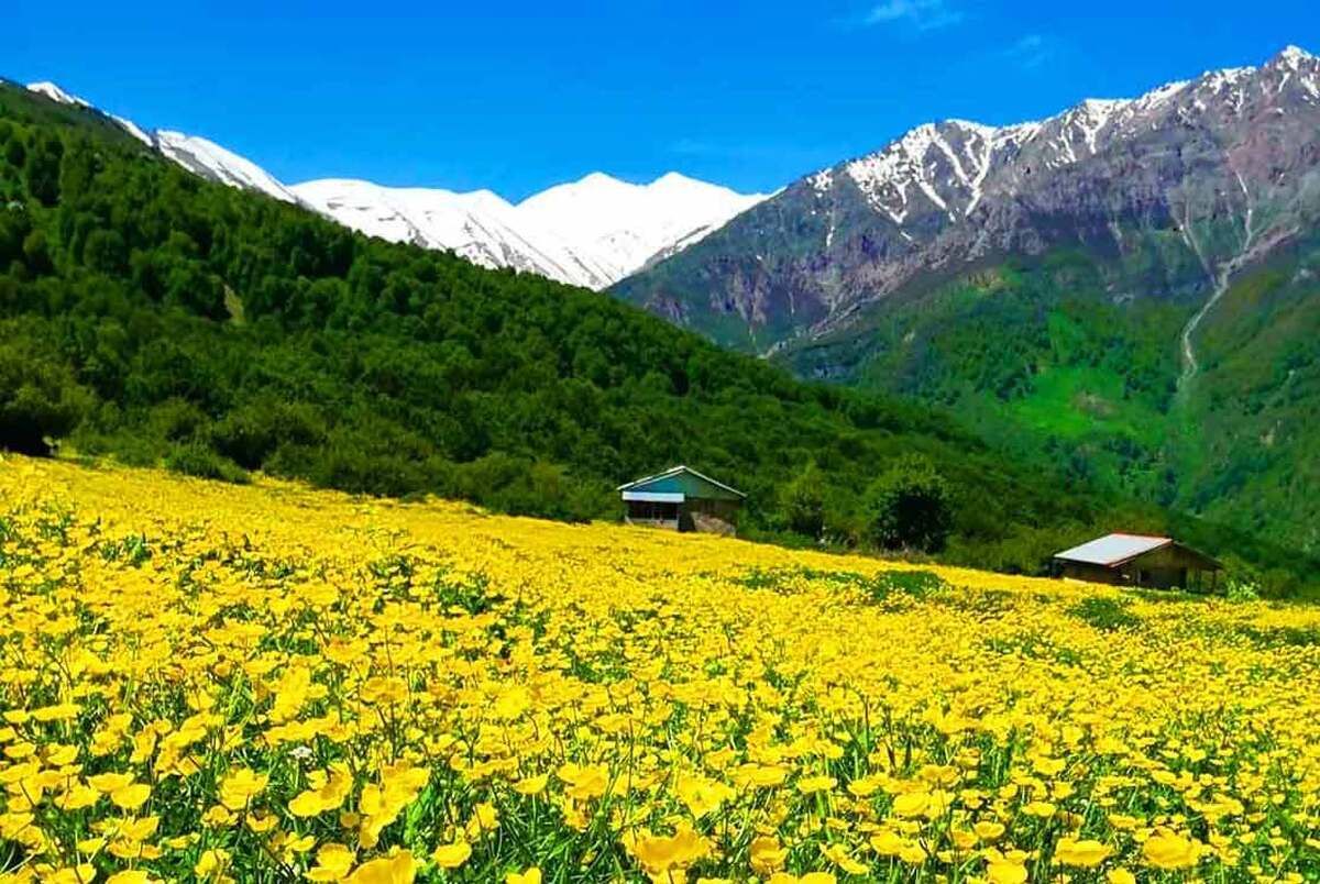 دشت دریاسر تنکابن یکی از زیباترین مناطق شمال ایران است که در قسمت جنوبی شهر تنکابن و در منطقه دوهزار قرار دارد.