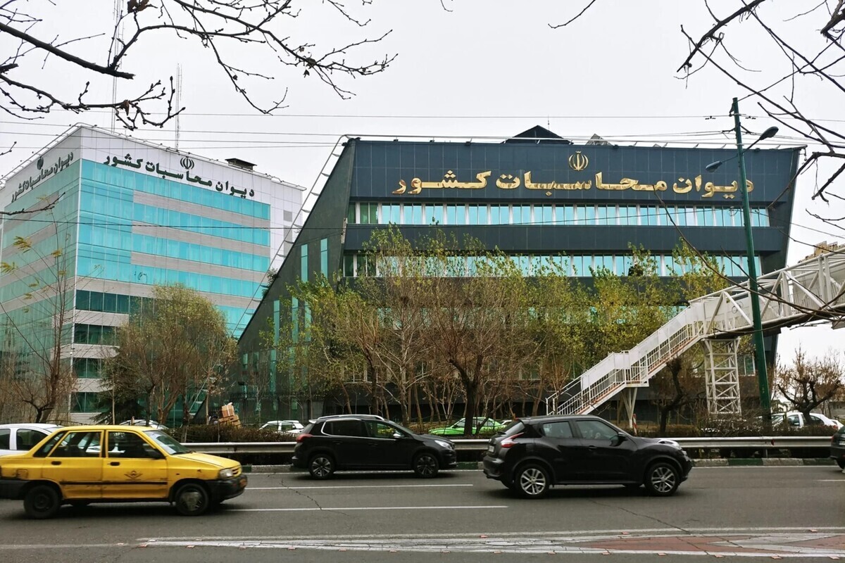 بررسی‌های دیوان محاسبات کشور نشان می‌دهد صندوق بازنشستگی و بنیاد شهید اقدامی جهت انجام تکالیف در جهت فروش سهام واگذار شده انجام نداده‌اند.