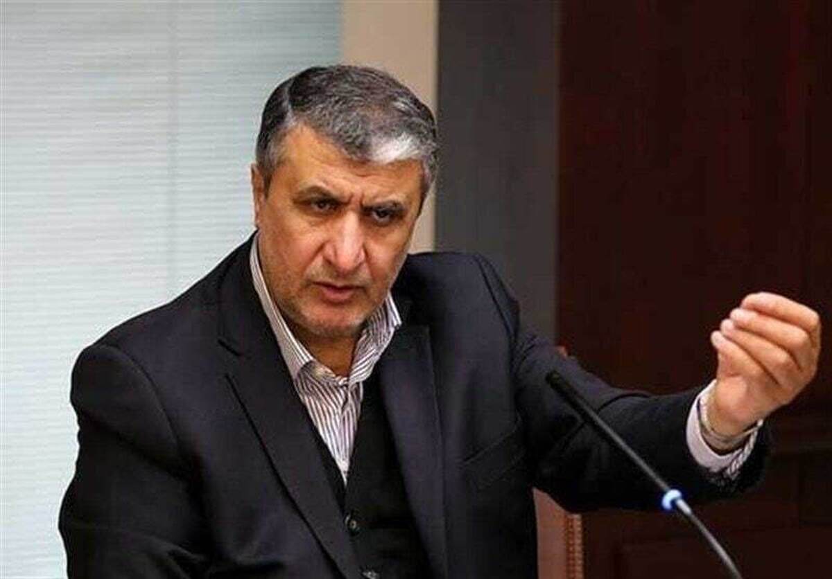 رئیس سازمان انرژی اتمی، گفت: منطق آمریکایی‌ها قلم کردن پاها و خلع سلاح است و ابزارش نیز تحریم.