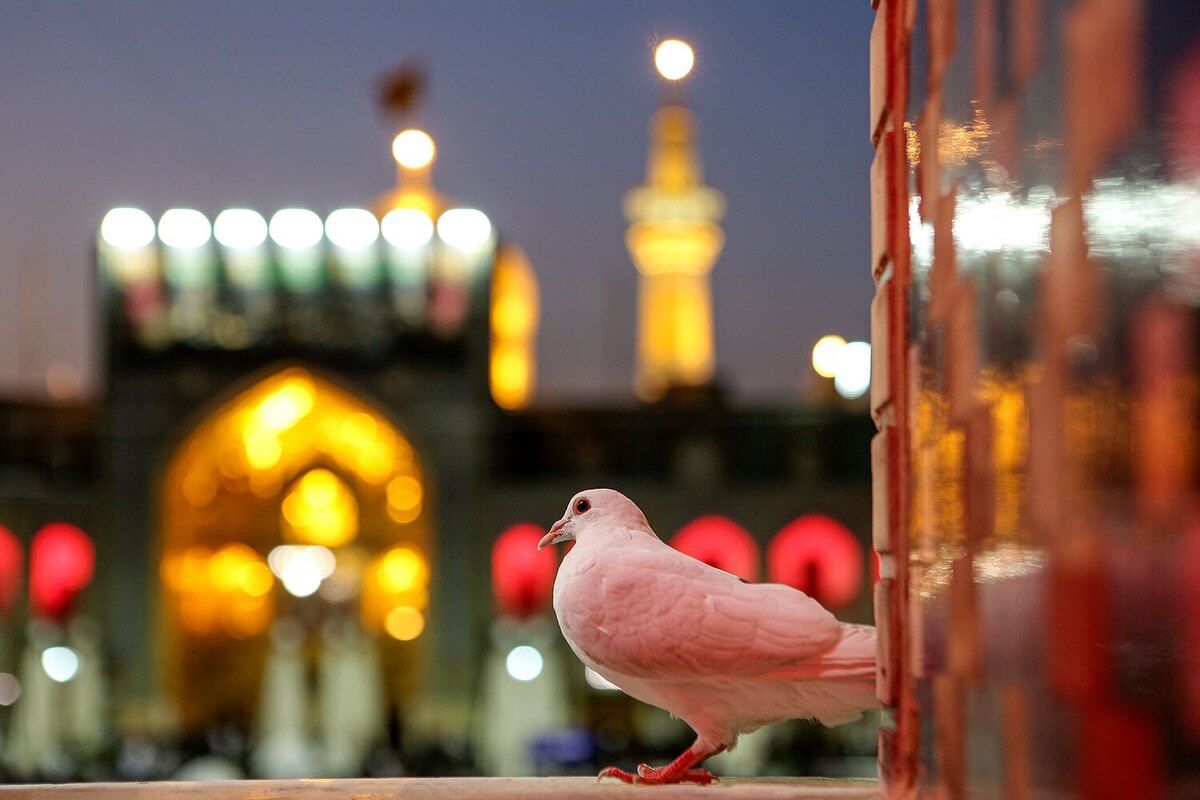 کلثوم رجبی نفر اول بخش بین‌الملل پانزدهمین جشنواره دل‌نوشته به امام‌رضا(ع) شد.