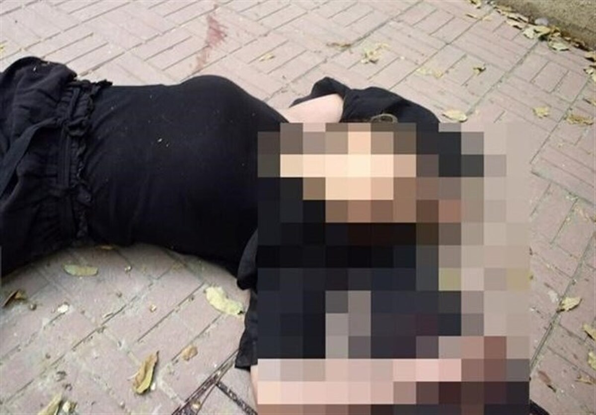 آتش شاکرمی درگیر رفیق بازی‌ها و مسائل شخصی خود است و در شب‌هایی از هفته که مهمان دارد، نیکا اجازه ندارد به خانه او بیاید، چون شاید مدل مهمانی برای سن او مناسب نباشد.