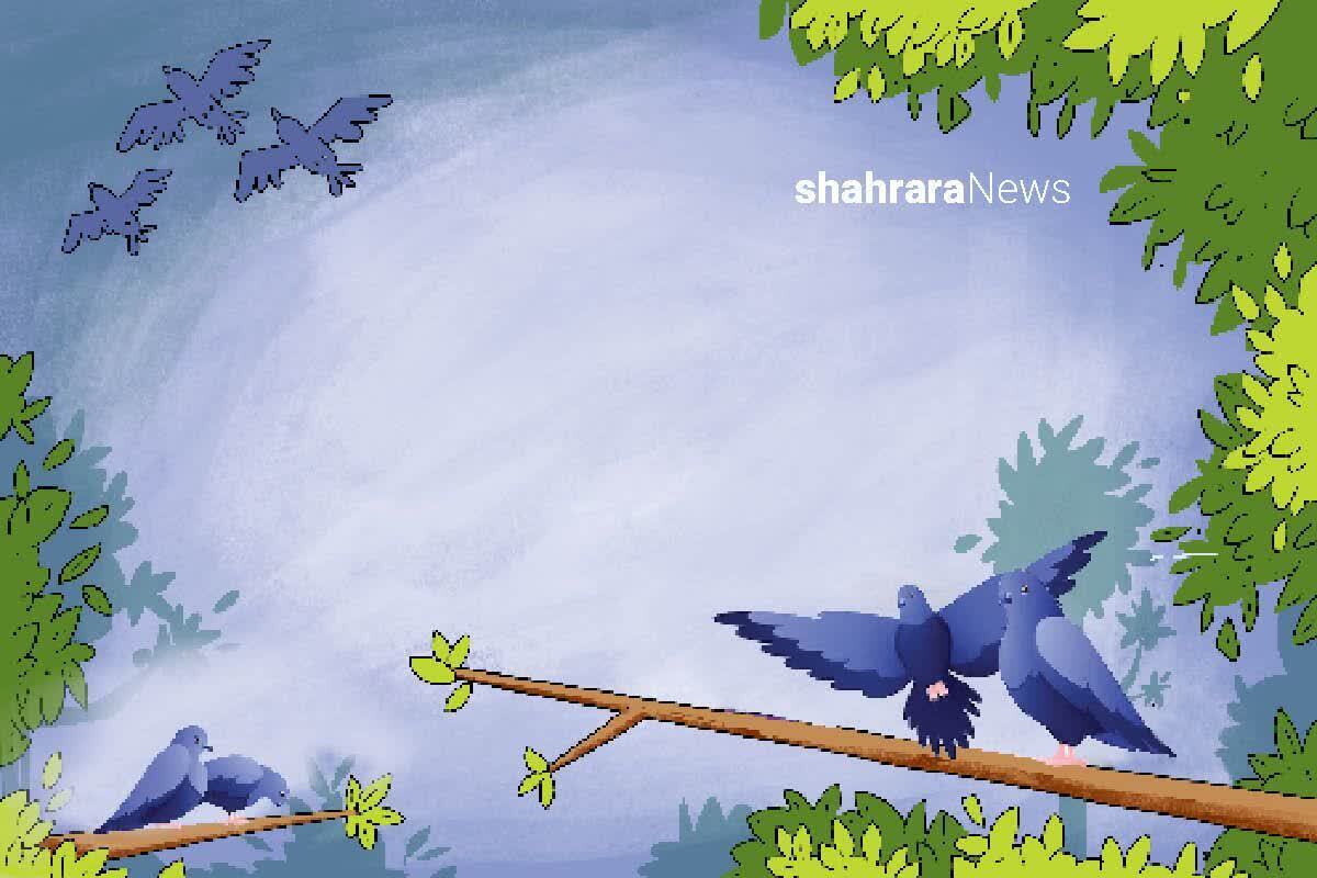 بعضی وقت‌ها ممکن است کسی بخواهد چیزهایی را که داریم از ما بگیرد. شاید بخواهد ما را بترساند.