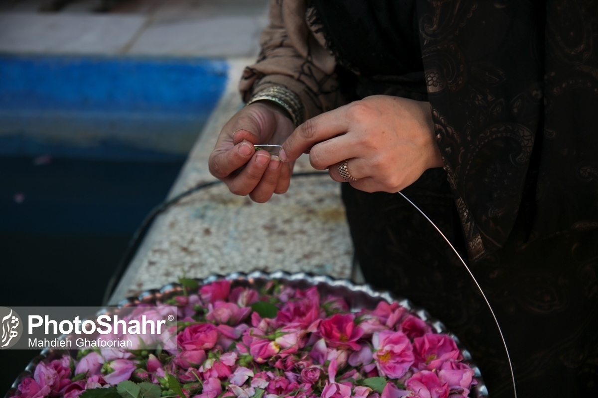عضو شورای اسلامی روستای فرخد مشهد گفت: برگزاری جشنواره گل‌وگلاب روستای فرخد که لقب «قمصر خراسان» را به آن داده‌اند، به‌دلیل هشدار بارندگی شدید و احتمال وقوع سیل در روز جمعه پیش رو (۲۸ اردیبهشت ۱۴۰۳) لغو شد.