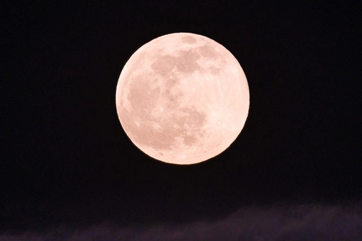 امشب (۵ اردیبهشت) درست پس از غروب آفتاب به سمت شرق نگاه کنید تا ماه کامل صورتی (full Pink Moon) را در آسمان ببینید.