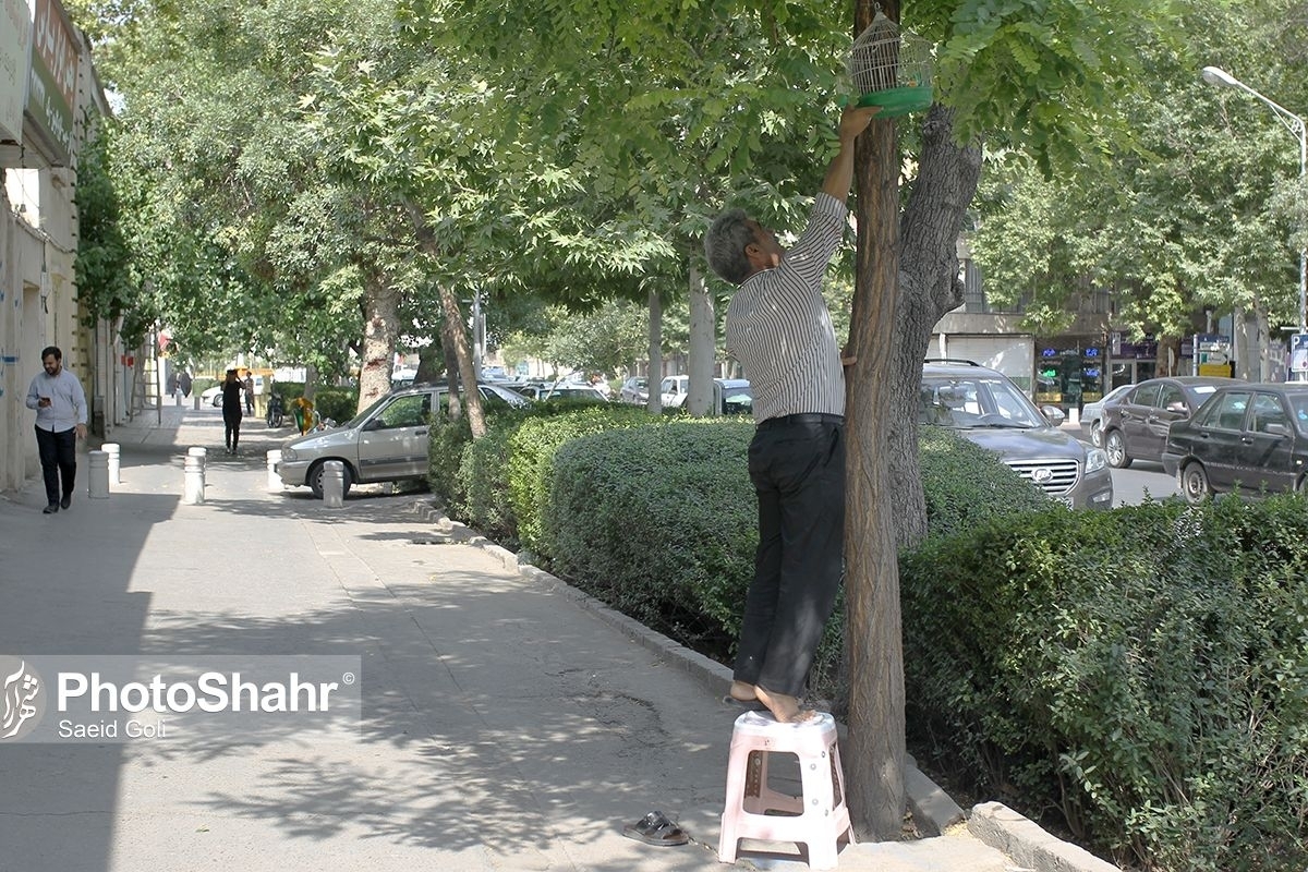 ارشناس مرکز پیش بینی اداره کل هواشناسی خراسان رضوی گفت: روند افزایش دما در استان تا روز یکشنبه هفته آینده ادامه دارد و در این مدت دمای هوا در مناطق گرمسیر خراسان رضوی به ۴۰ درجه سلسیوس خواهد رسید.