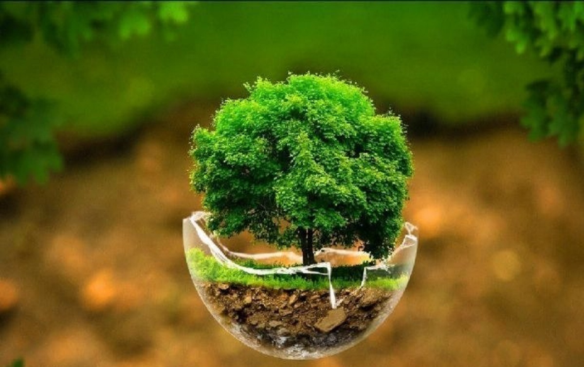 معاون محیط زیست دریایی و تالاب‌های سازمان حفاظت محیط زیست گفت: مردمی کردن حفاظت از محیط زیست از طریق ایجاد حس مسؤولیت در عموم مردم از مهم‌ترین مأموریت‌های سازمان حفاظت محیط زیست است.