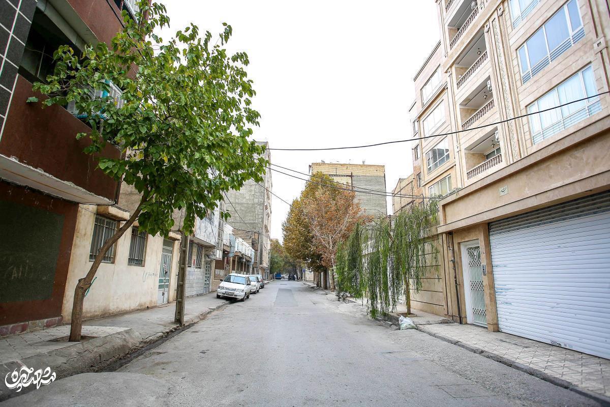 با توجه به نزدیک‌شدن به فصل نقل و انتقال مستاجران، در این بسته خبری به وضعیت بازار اجاره در مناطق مختلف مشهد می‌پردازیم.