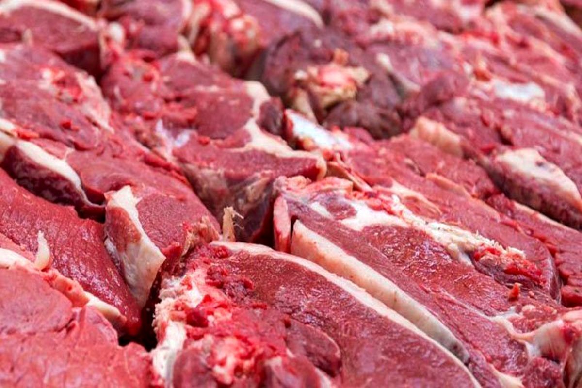 مدیر بازرسی و نظارت اصناف خراسان رضوی از آغاز توزیع ۵۰۰ تن گوشت گرم گوساله با قیمت ۲۹۹ هزار تومان در مشهد از شنبه ۱۹ خرداد ۱۴۰۳ خبر داد.