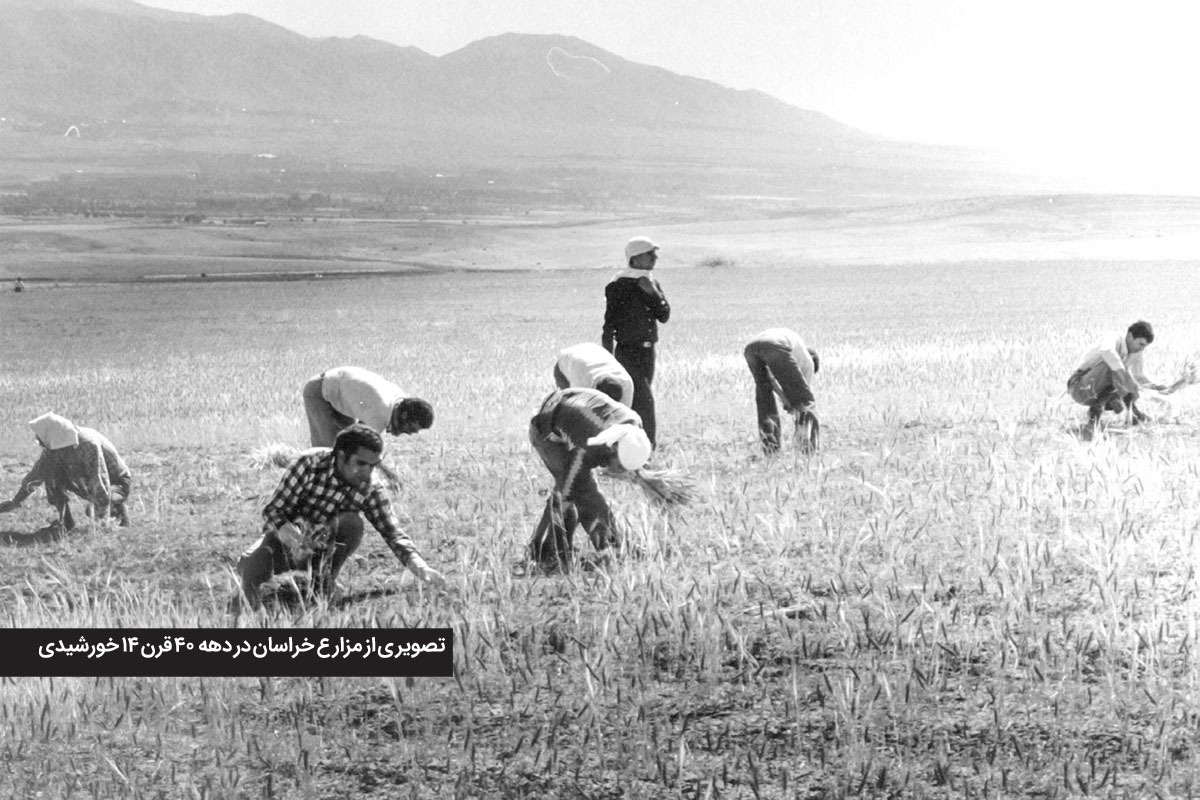 بهار سال‌۱۳۲۲ در مشهد سیلاب‌هایی آمد که مزارع گندم را خراب کرد و سبب قحطی شد.