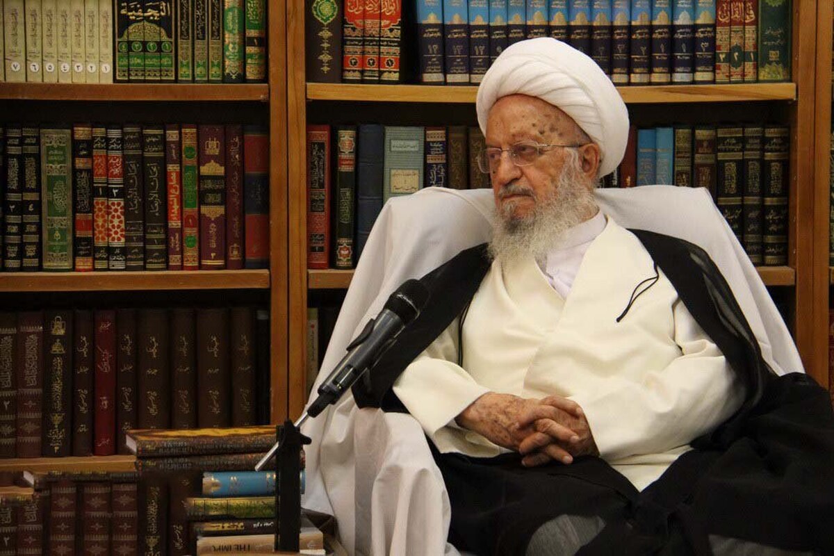 نظر آیت‌الله مکارم‌شیرازی درباره درآمد حاصل از بازی «همستر کامبت»