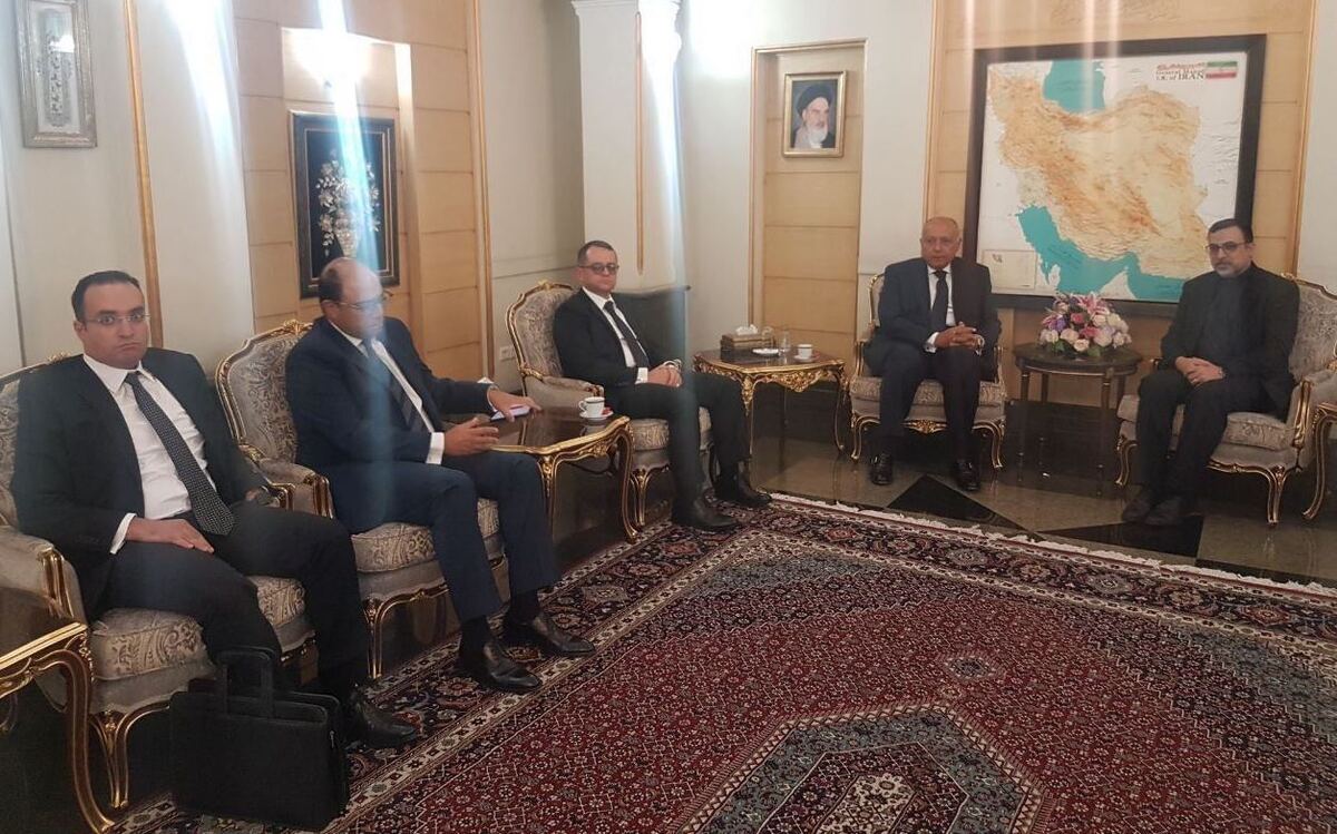 «سامح الشکری» وزیر خارجه مصر برای اولین‌بار به تهران آمد.