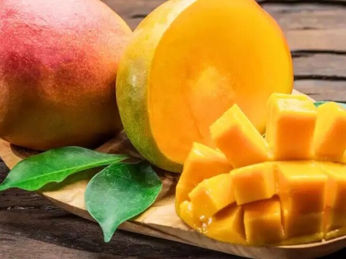 برای تازه نگه داشتن غذا در تابستان، معمولا همه مواد خوراکی را در یخچال نگهداری می‌کنیم. دمای پایین از فساد آن جلوگیری می‌کند و ماندگاری بسیاری از غذا‌ها را افزایش می‌دهد.