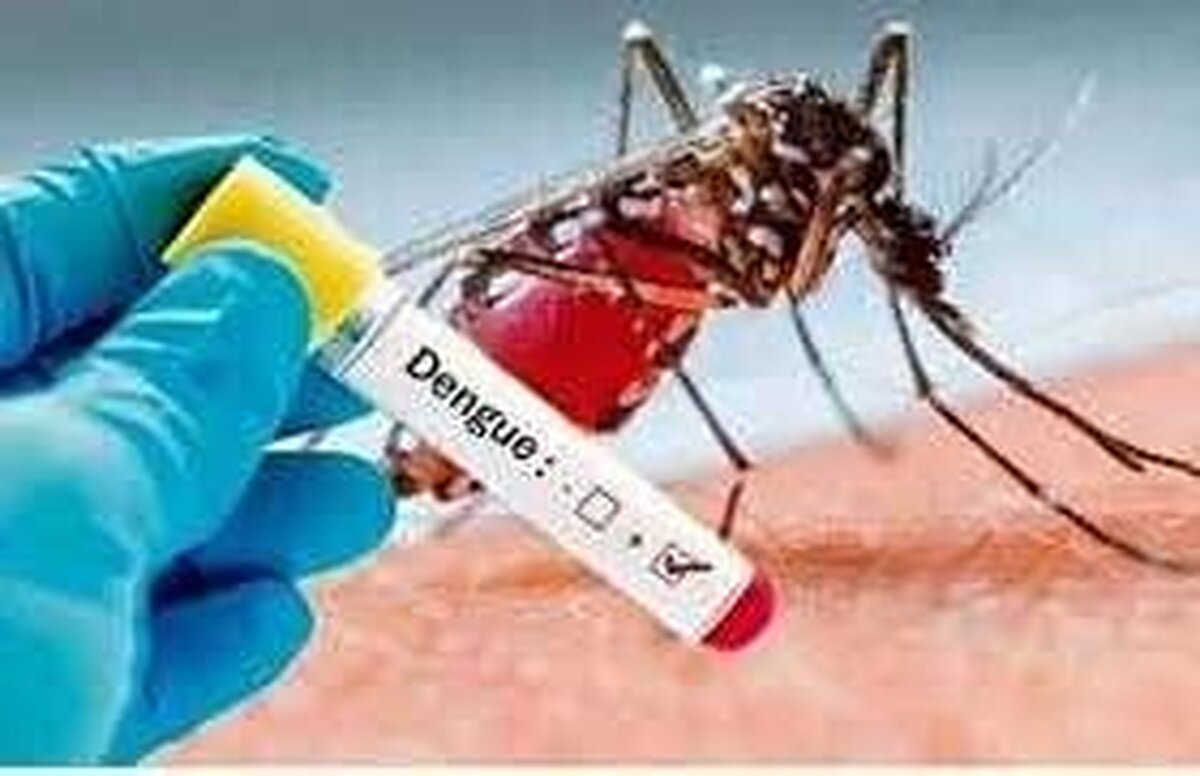 رئیس گروه بیماری‌های واگیر معاونت بهداشت دانشگاه علوم پزشکی مشهد گفت: با توجه به تغییرات آب‌و‌هوایی و بارندگی‌های سیل‌آسای اخیر و افزایش مسافرت به کشور‌های آلوده، خطر ورود پشه ناقل بیماری و فرد بیمار به داخل کشور و استان خراسان‌رضوی افزایش یافته است.