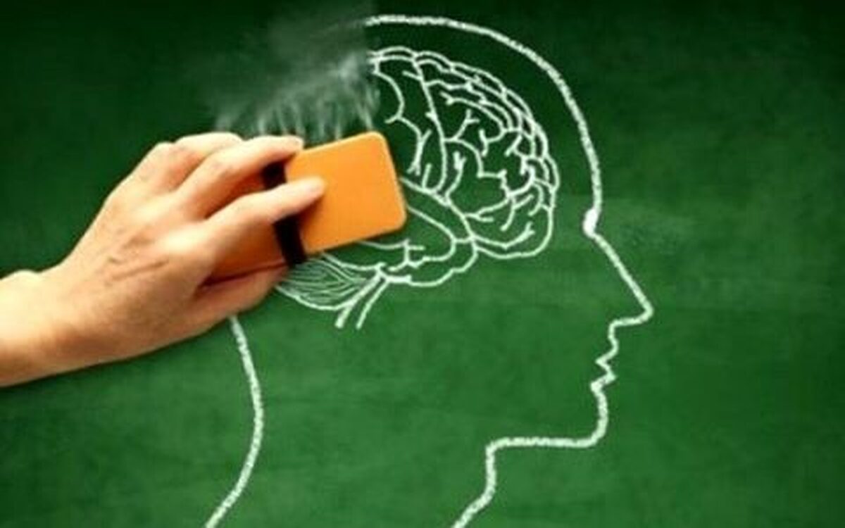 مدیر گروه علوم اعصاب دانشگاه علوم پزشکی مشهد گفت: هر چند تئوری‌های اثبات شده‌ای در خصوص علل ابتلاء افراد به آلزایمر وجود ندارد، اما فاکتور‌هایی همچون تغذیه سالم، ورزش، مطالعه، تقویت ارتباطات اجتماعی و عدم مصرف دخانیات می‌تواند در کاهش احتمال ابتلاء به این بیماری موثر باشد.