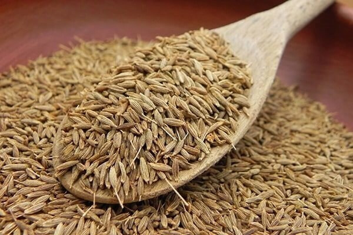 کارشناس‌مسئول گیاهان دارویی سازمان جهاد کشاورزی خراسان‌رضوی گفت: خراسان‌رضوی رتبه نخست کشور در تولید محصول زیره سبز و سطح زیر کشت آن را دارد.