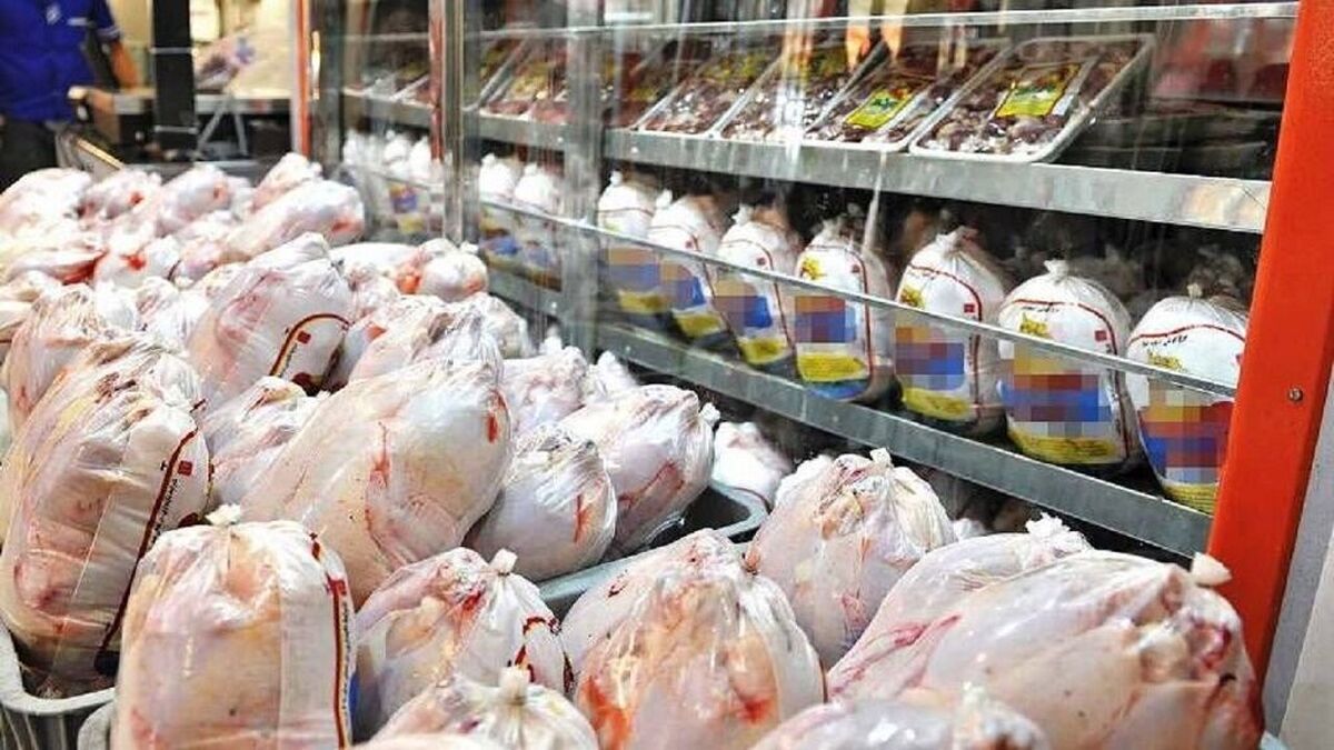 قیمت طیور در هفته‌های اخیر کاهش قابل ملاحظه‌ای داشته است به طوری که قیمت هر کیلو گرم مرغ تازه به ۷۶ هزار تومان رسیده است.