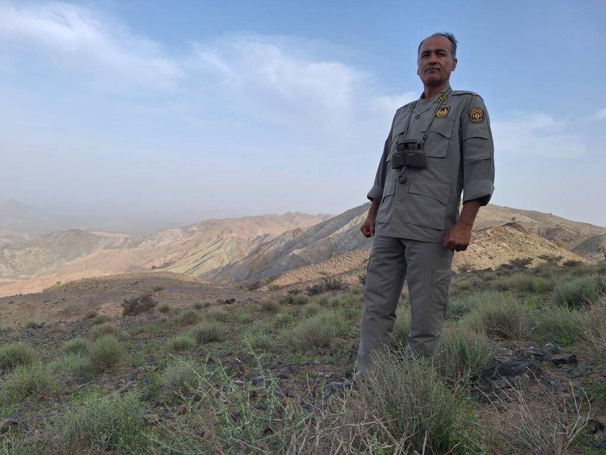 سعید ارشادی شکار را تا لحظه قبل از اصابت گلوله به هدف دوست داشت. با خودش در جنگ بود و بالاخره بعد از ۹ سال تفنگش را فروخت و پیگیری هایش «کمر سرخ» را در زمره مناطق حفاظت شده قرار داد.