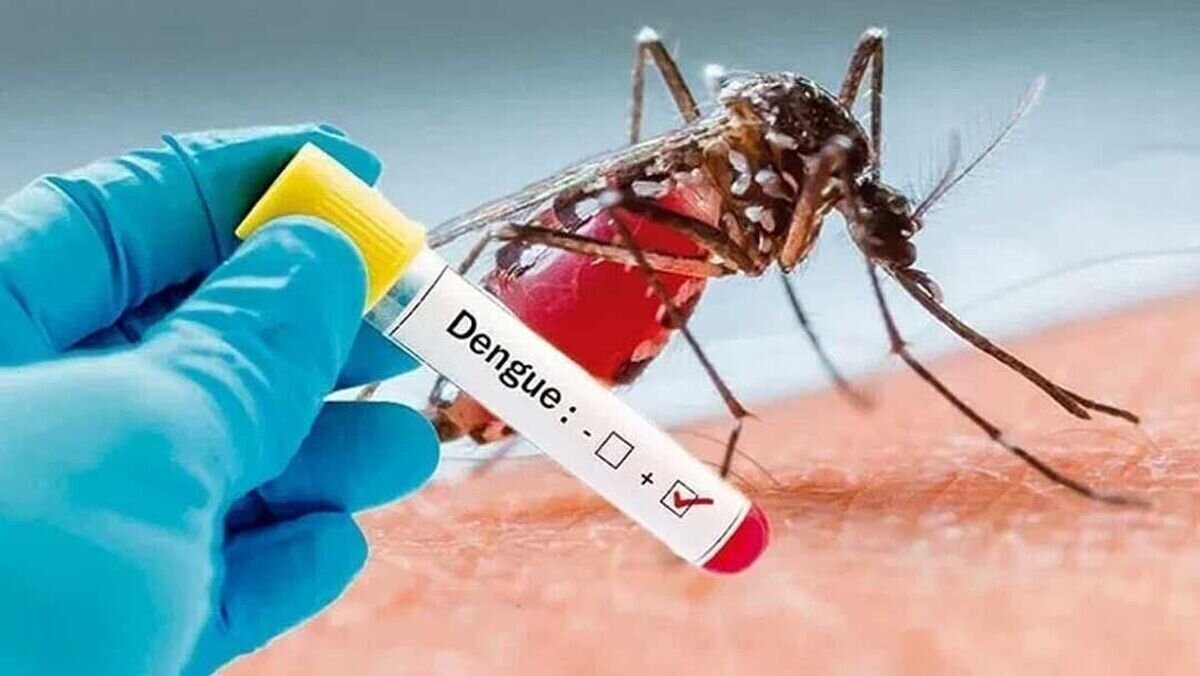 رئیس گروه پیشگیری و مبارزه با بیماری‌های واگیر معاونت بهداشت دانشگاه علوم پزشکی مشهد اظهار کرد: تب و بدن‌درد به‌خصوص درد پشت حدقه چشم و بثورات جلدی مهم‌ترین علائم هشداردهنده ابتلا به بیماری تب دنگی هستند.