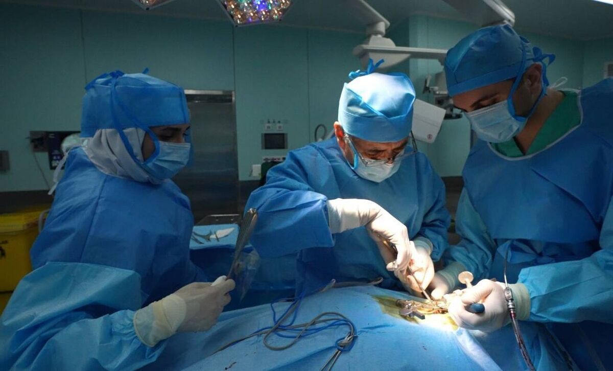 استاد پیشکسوت جراحی مغز و اعصاب دانشگاه علوم پزشکی مشهد گفت: عمل نادر خارج‌کردن جسم خارجی از مغز که در حالت معمول ۶ ساعت زمان نیاز دارد، طی یک ساعت در بیمارستان رضوی مشهد انجام شد.
