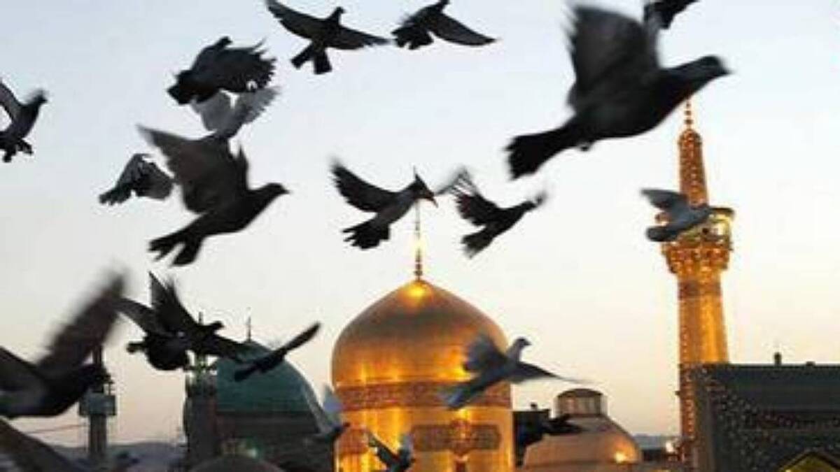 رئیس مرکز حل اختلاف کشور با تاکید براینکه بین مومنان باید رحمت وجود داشته باشد، گفت: فقط در پویش «به عشق امام رضا علیه السلام می‌بخشم» ۴۲۲ نفر از چوبه دار نجات یافتند.