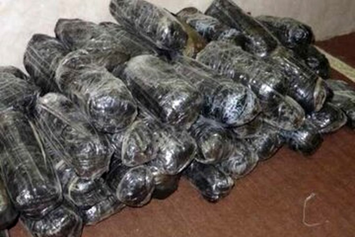 فرمانده مرزبانی فراجا از هوشیاری و موفقیت مرزبانان و کشف یک تن مواد افیونی از نوع تریاک در مرزهای جنوبی استان سیستان و بلوچستان خبر داد.