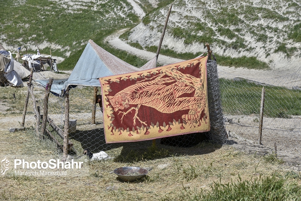 مدیرکل امور عشایر خراسان رضوی گفت: در فصل بهار امسال عشایر و راه‌های دسترسی عشایر استان از محل تغییرات اقلیمی و بارش‌های شدید، حدود ۱۶۰ میلیارد تومان خسارت وارد شد.