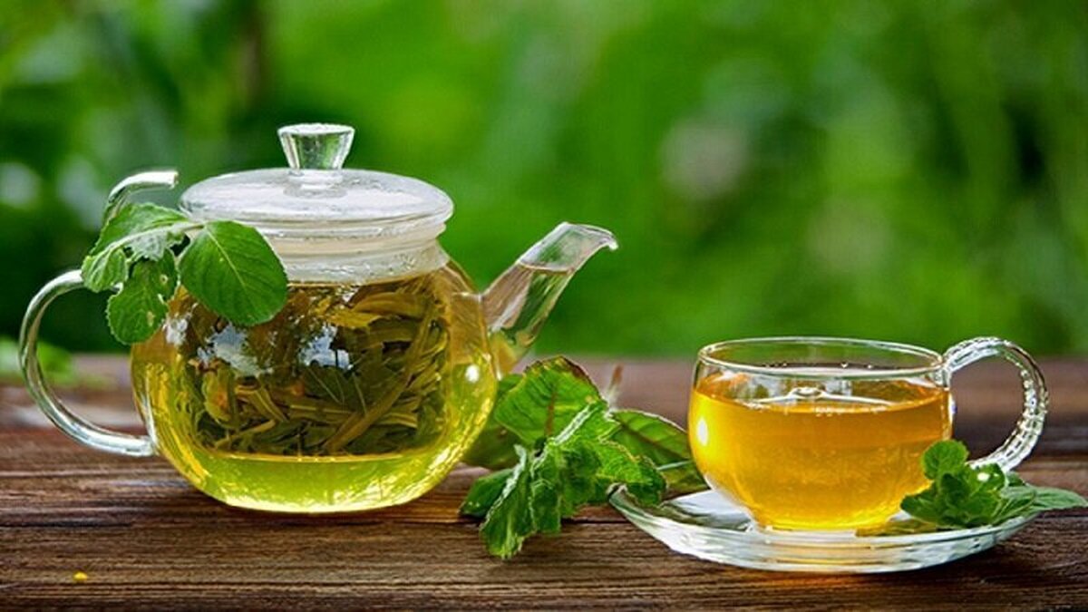 سازمان جهانی بهداشت (WHO) اخیرا در بیانیه‌ای از افزایش مصرف نوشیدنی‌های گیاهی به جای شیر در اروپا خبر داد و نسبت به عوارض آن به ویژه برای زنان هشدار داد. متخصصان تغذیه تاکید دارند که جایگزین کردن شیر با نوشیدنی‌های گیاهی در ایران نیز رواج پیدا کرده و عوارض آن هموطنان‌مان را تهدید می‌کند.