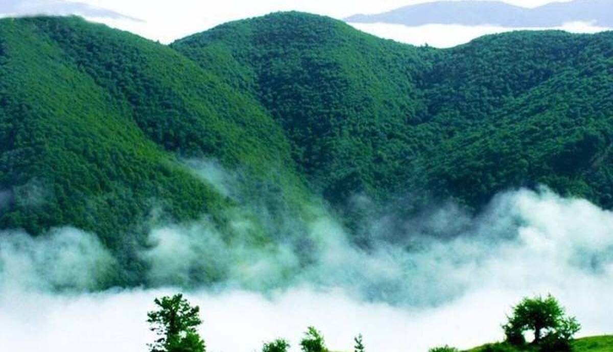 ویدئویی از منظره‌ای در قلب کوهستان سوادکوه که یکی از زیباترین مکان‌های ایران در چهار فصل است را مشاهده می‌کنید.