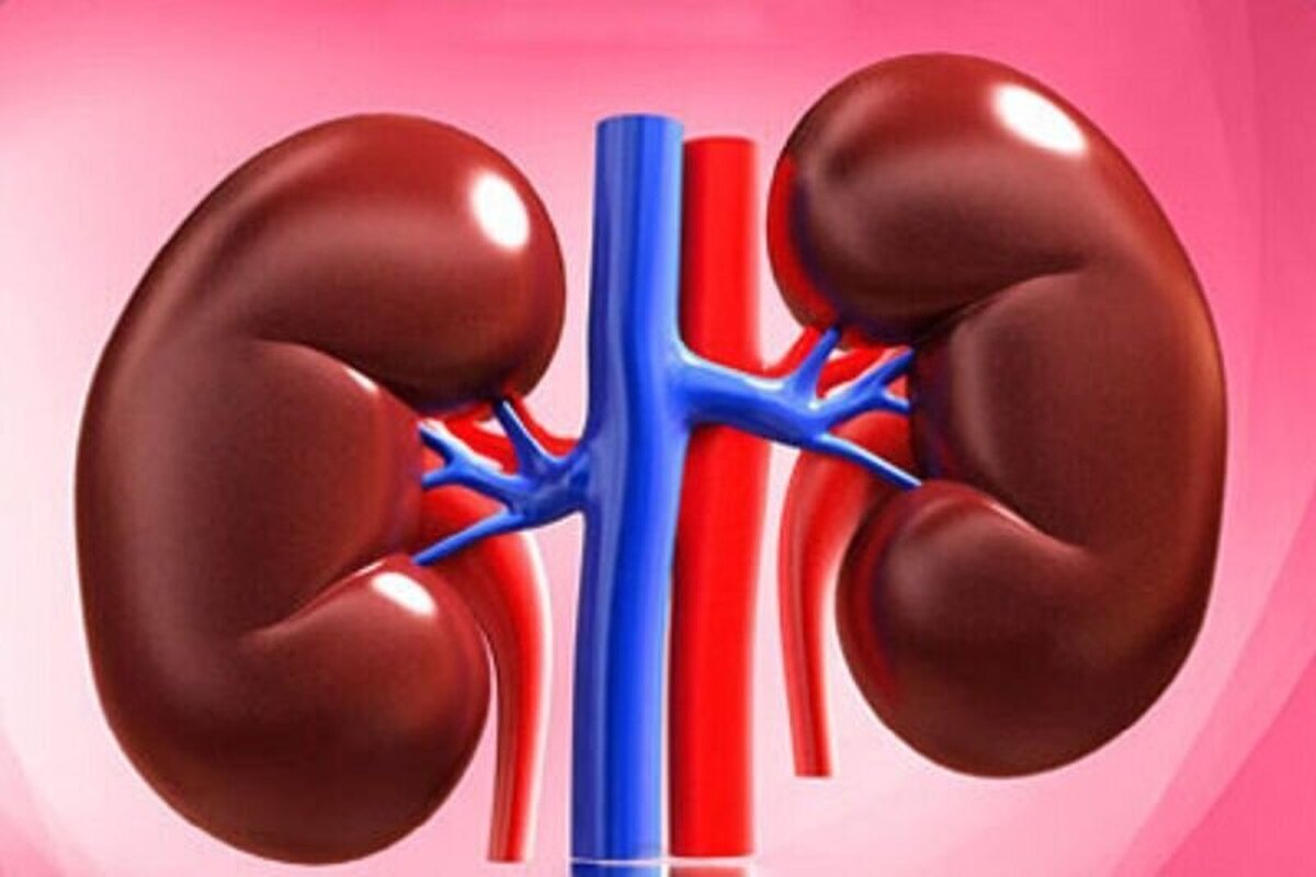 متخصص زنان و فلوشیپ اختلالات کف لگن و عضو هیئت‌علمی دانشگاه علوم پزشکی مشهد گفت: بیش‌از نیمی از مراجعه‌کنندگان به فلوشیپ اختلالات کف لگن، بیماران دچار بی‌اختیاری ادرار هستند و این مورد یکی از شایع‌ترین شکایات در جمعیت زنان به شمار می‌رود.