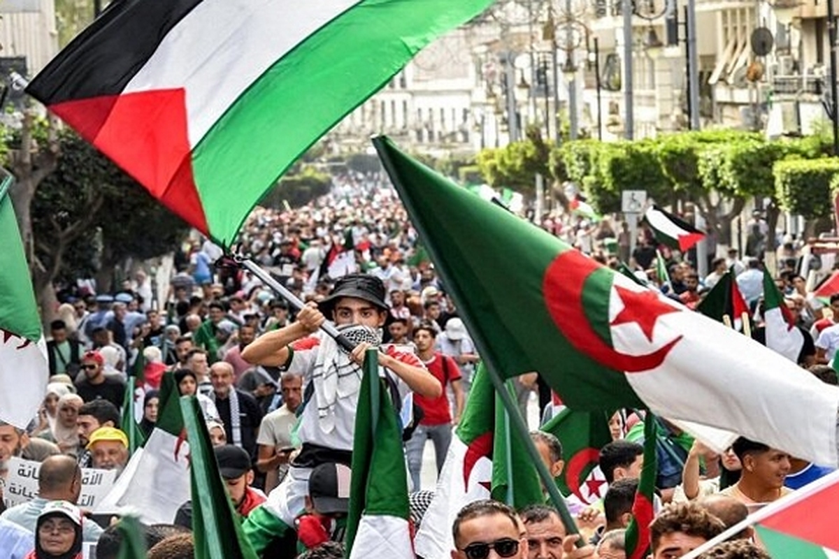 وزیر خارجه الجزایر با برگزاری کنفرانس مطبوعاتی در پایتخت این کشور، تصریح کرد: ترور اسماعیل هنیه را قویاً محکوم می‌کنیم.