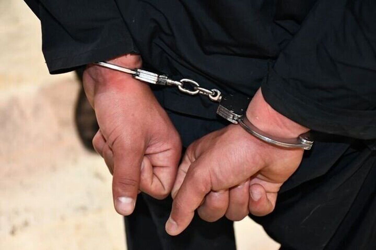 رئیس پلیس مبارزه با موادمخدر تهران بزرگ از دستگیری یک فروشنده موادمخدر که در پوشش مسافربر اقدام به قاچاق تریاک کرده بود، خبر داد.
